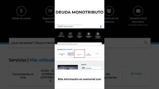 MONOTRIBUTO ¿Cómo saber si tengo DEUDA  Curso online 👀 [upl. by Cotterell614]