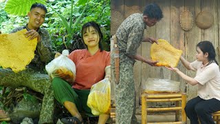 I worked with Tieu Ca to harvest 2 ferocious wild bee hives garden and grow vegetables [upl. by Pauline]