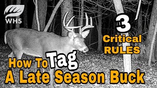 3 Proven Rules For Late Season Deer Hunting [upl. by Edric11]