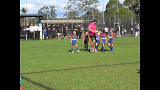 Div 1 U7s1st Quarter St Johns vs Chester Hill 17 08 24 [upl. by Drofnas]