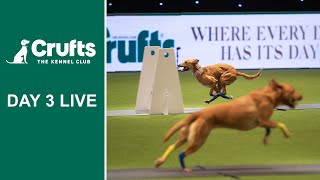 Day 3 Live  Crufts 2022 [upl. by Amoakuh719]