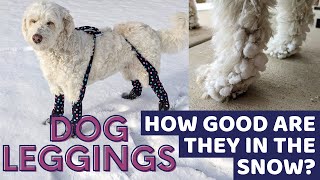 Walkee Paws for Preventing Leg Snowballs on Doodles A Review [upl. by Lyrem]