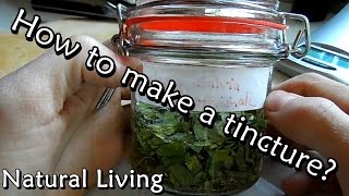 How to make a Tincture  Mother Tincture [upl. by Bohman]