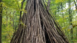 Is This The Biggest Teepee Ever Found Sasquatch or Bushcraft [upl. by Rebm]