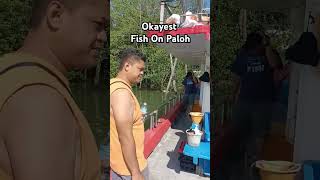 OKAYEST FISH ON paloh fishing fishingvideo mancing shorts [upl. by Nalrah]