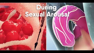 Short trackDo you know what happens During sexual arousal inside the body what is the clitoris [upl. by Eilahs271]