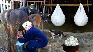 Home Cheese Making 2 Hour of Mouthwatering Recipes in Village [upl. by Rosanna]