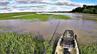 ISCA INFALIVEL PARA TRAIRA  O DIA DA PESCA  PESCARIA  FISHING  PEIXE  LAGO [upl. by Craw]