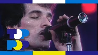 Mink DeVille  Spanish Stroll Live 1985 • TopPop [upl. by Adalai]