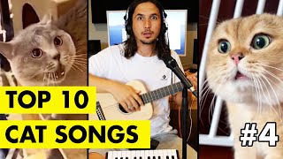 Top 10 Cat Songs by The Kiffness [upl. by Rahel]