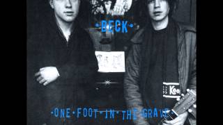 Beck  One Foot In The Grave Full Album 1994 [upl. by Lehcsreh162]