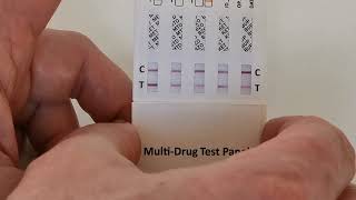 Drug Testing Panel Instructions [upl. by Marjorie]