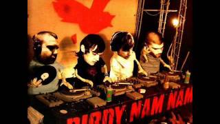 Birdy Nam Nam  New Birth electro [upl. by Navert480]