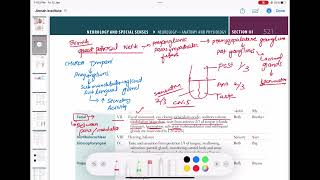 vestibular 8  glossopharyngeal 9  vagus 10 hypoglossal Cranial Nerves and function neurology 52 [upl. by Lincoln]