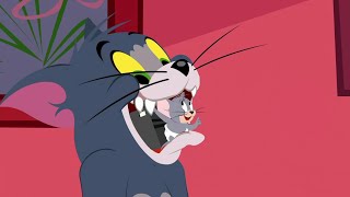 Tom and Jerry Show S 01 E 29 B  TUFFY LOVE LOOcaa [upl. by Kcire]