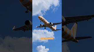 A Orange white striped plane landing at Frankfurt Airport viralshorts [upl. by Ecinnaj]