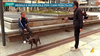 Regole e museruole per i cani pericolosi [upl. by Hayman369]