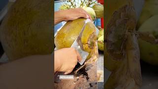 Golden coconut cutting skills  The biggest fruit in the world 🌎 trending everyone shorts [upl. by Yerak780]