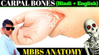 carpal bones🦴  mbbs anatomy🔥  attachment ossification and peculiarities  hindi English दोनों 👍 [upl. by Mintz]