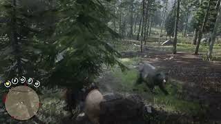 Red Dead Redemption 2  Amber Champagne Missouri Fox Trotter stands up to Grizzly Bear [upl. by Fawcett]