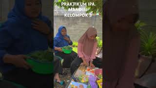 Dokumentasi praktikum IPA kelompok 3 [upl. by Tyrone]