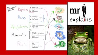 mr i explains The Five Classes of Vertebrates for KS3 [upl. by Ginni913]