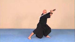 Cours de katana  Exercices dentrainement [upl. by Alyt]