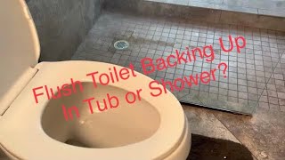 Flush Toilet Backing Up in Shower or Tub  Fix Fast amp Easy [upl. by Eekram]