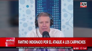 ✋ Fantino indignado por el ataque a los carpinchos en Nordelta [upl. by Leanna493]