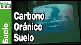 El CARBONO ORGÁNICO en el SUELO🌱 su importancia en los cultivos y la conservación [upl. by Yert]