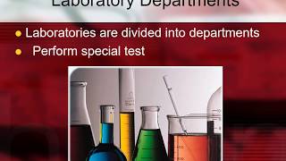 Major Departments in Phlebotomy [upl. by Okiram]