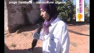 Naâma ✿│Intégration de la pisciculture à lagriculture dans le sud ouest de lAlgérie [upl. by Eeliab]