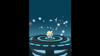 Pokemon Go every Gen 2 baby evolution Pichu Togepi Magby [upl. by Tsirhc]