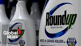 Ontario class action lawsuit alleges common weedkiller causes cancer [upl. by Sherrard]