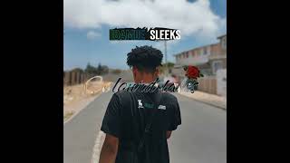 Sleeks ft Mr davie Die lewe s swaar [upl. by Lang]