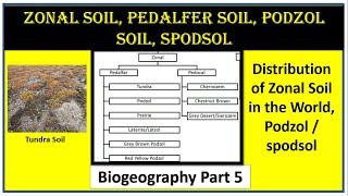 Zonal Soil I Pedalfer Soil I Podzol Soil I Spodsol I Part 5 [upl. by Navek]