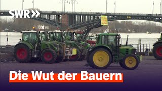 Grüne unter Druck  Zur Sache RheinlandPfalz [upl. by Camey]