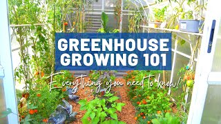 Greenhouse Growing Basics 101  For beginners and intermediate  Design Pros and cons Quirks Tips [upl. by Swainson]