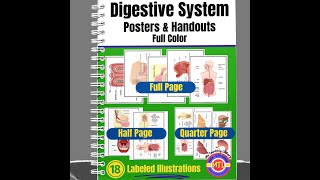 Digestive System Posters and Handouts Preview Video [upl. by Barina]