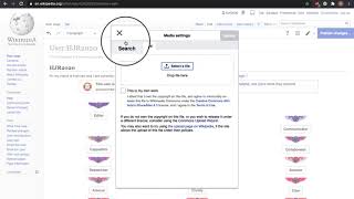 How to use an image from Wikimedia Commons on Wikipedia [upl. by Ruskin]