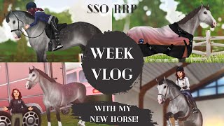 SSO RRP  Week in the life with my new horse  Autumn Oakwin [upl. by Orville]