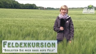 7 Feldexkursion Sommerungen Hafer  NU Agrar 27052015 [upl. by Childers]