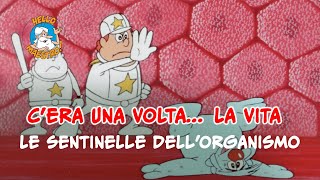 Siamo fatti così la vita 🌱 Sentinelle dellorganismo 🧘 [upl. by Oetomit]