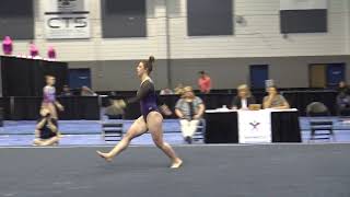 Aubrey Nick Libertyville  L10 Floor 2018 Region 5 Champonships [upl. by Anniram]