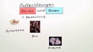 Pufferlösungen  Chemie  Allgemeine und anorganische Chemie [upl. by Jonas]