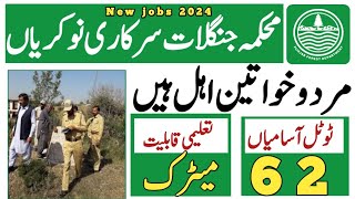 forest department amp Wildlife department Punjab government jobs 2024 [upl. by Sarine]