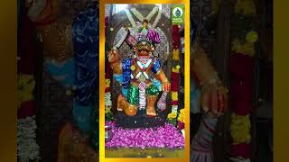 Karkkuvel Ayyanarin  Karuppasamy Devotional Songs shorts bakthi tamilgodsongs [upl. by Sommers616]