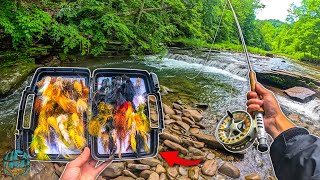 How to Streamer Fish for Trout  Fly Fishing for Beginners [upl. by Hilton]