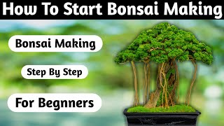 How To Start Bonsai Making At Home By You [upl. by Sulecram228]