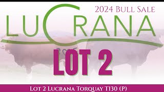 Lot 2 Lucrana Torquay T130 P [upl. by Noonan]